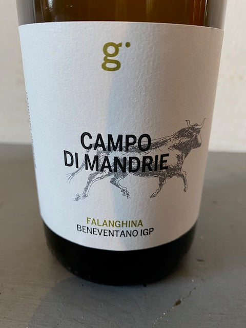 Campo di Mandrie Falanghina 2021 Beneventano Igp - Giovanni Iannucci