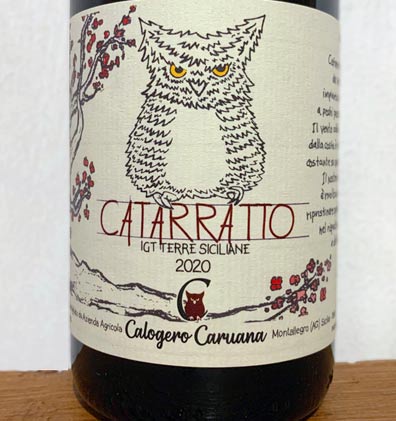 Catarratto - Calogero Caruana