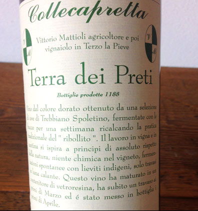 Umbria igt Trebbiano Spoletino Terra dei Preti - Collecapretta - vinoirshop