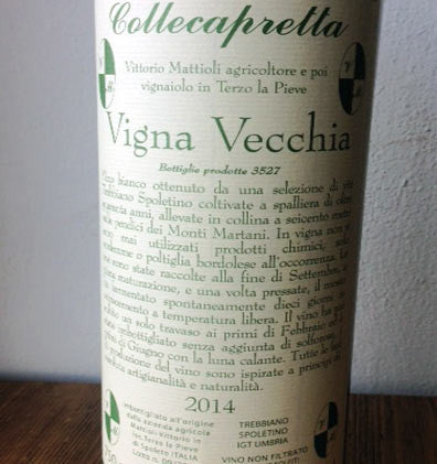 Vigna Vecchia - Collecapretta