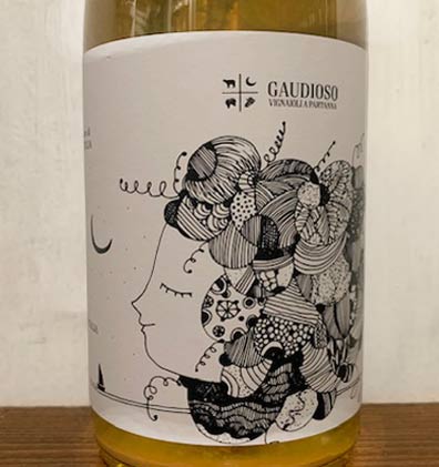 Zibibbo - Gaudioso - VinoirShop