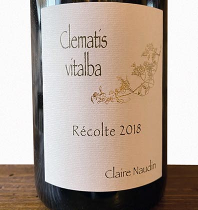 Clematis Vitalba - Naudin-Ferrand - Vinoir