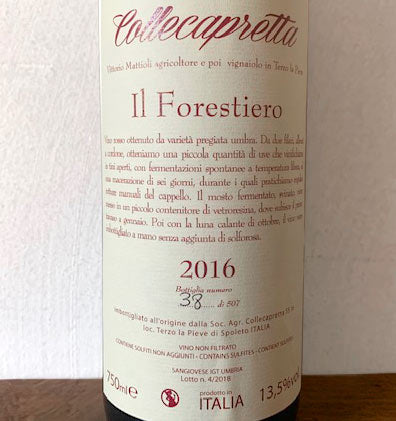 Il Forestiero - Collecapretta