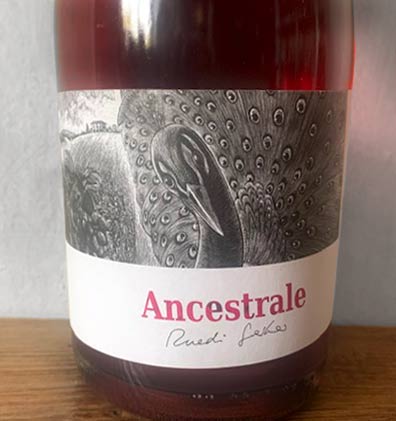 Ancestrale Rosato Frizzante - Sequerciani
