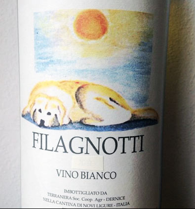 Vino Bianco Filagnotti - Cascina degli Ulivi - vinoirshop